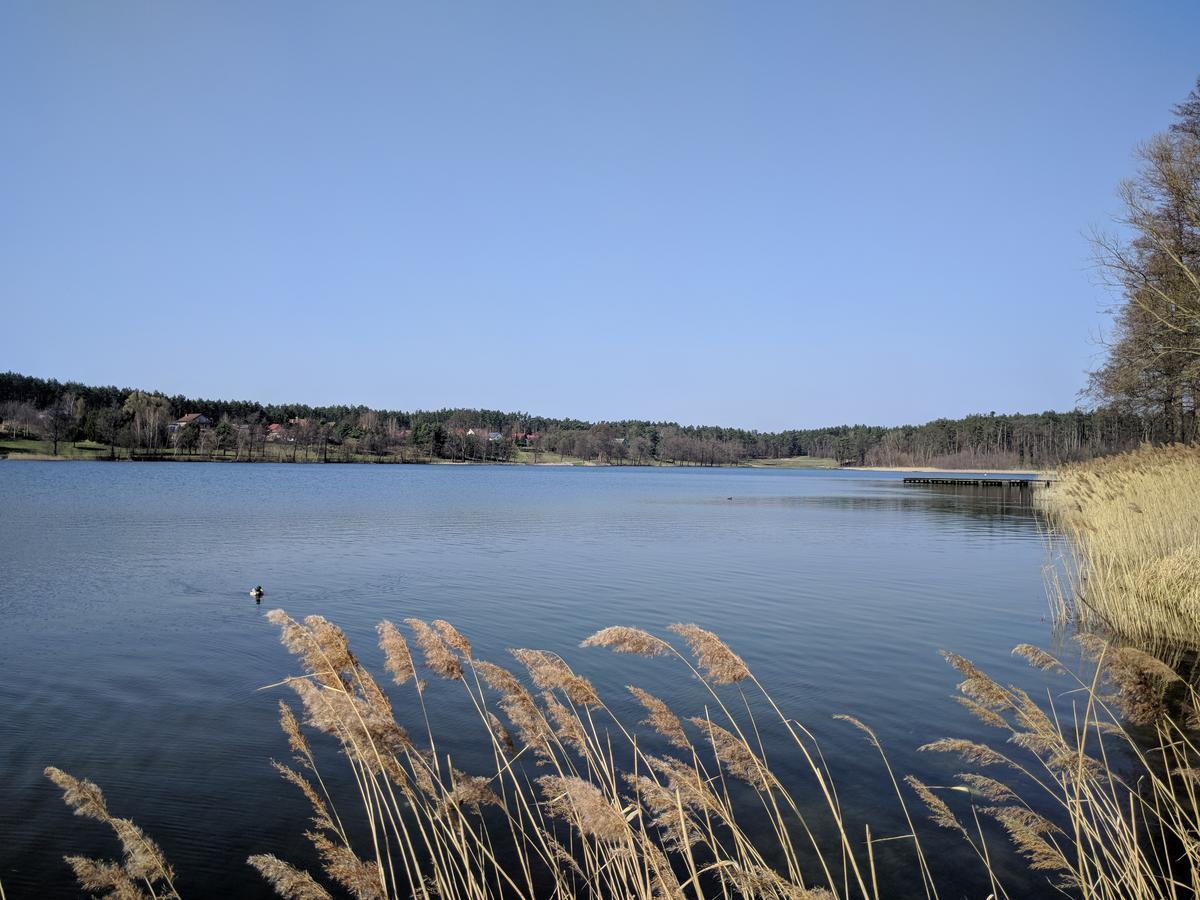 Villa Plena Ośno Lubuskie Buitenkant foto