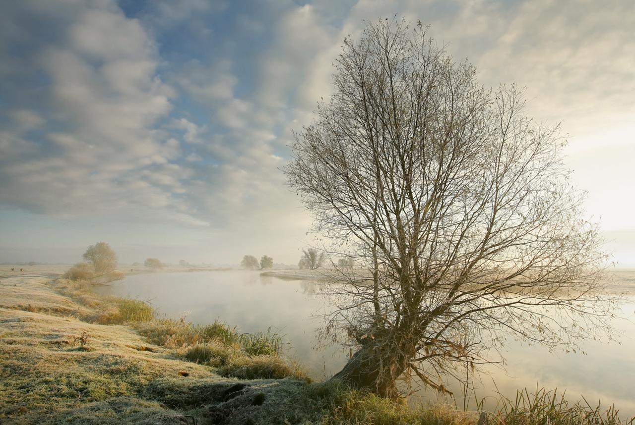 Villa Plena Ośno Lubuskie Buitenkant foto