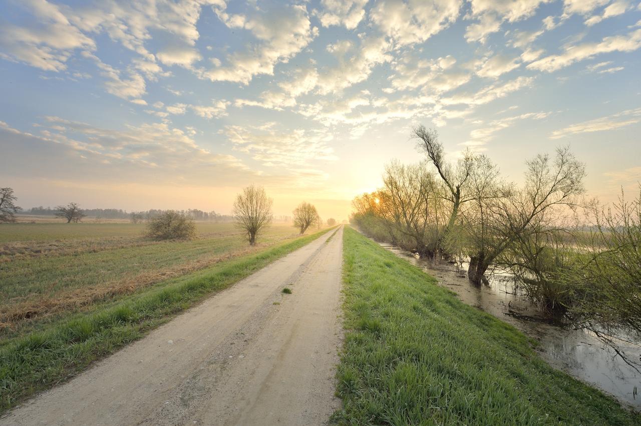 Villa Plena Ośno Lubuskie Buitenkant foto